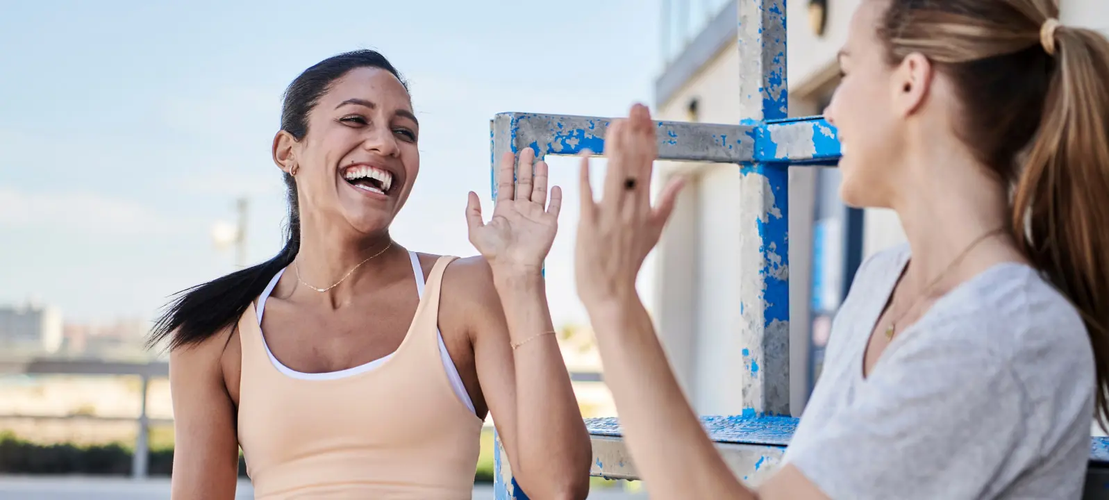 Two women giving each other high fives on a ladder while using an easy website builder to create their affordable web hosting with Plesk hosting.